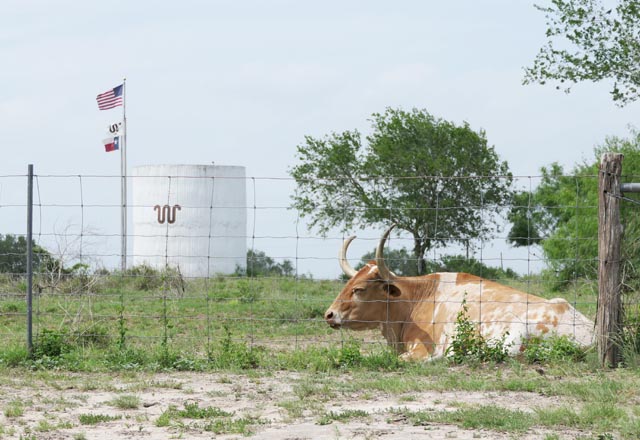 Kingsville, Texas