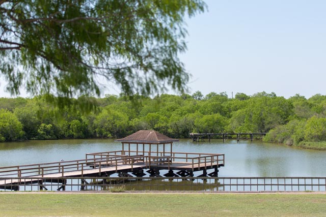 Dick Kleberg Park