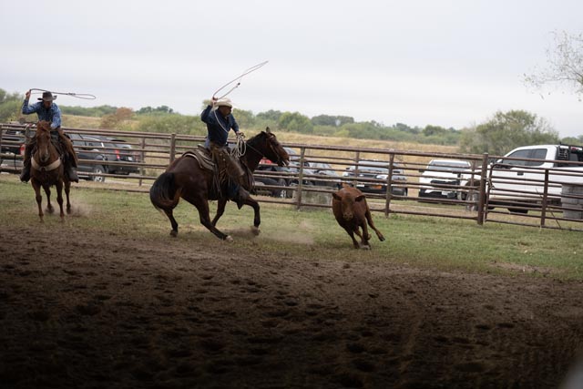 Kingsville, Texas