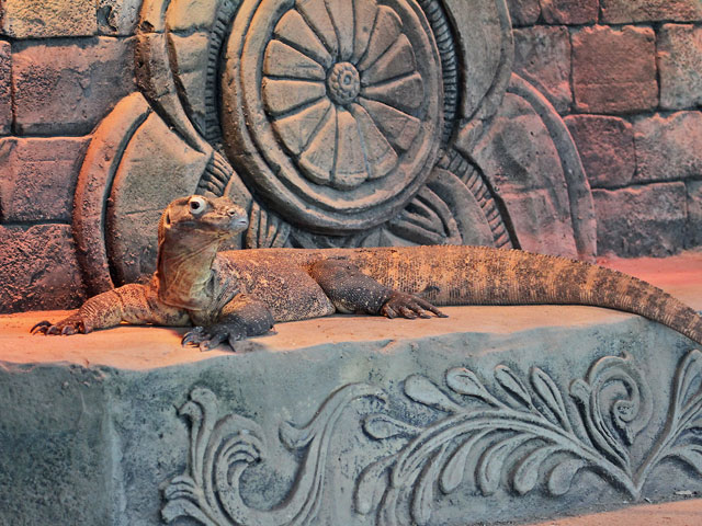 Cameron Park Zoo