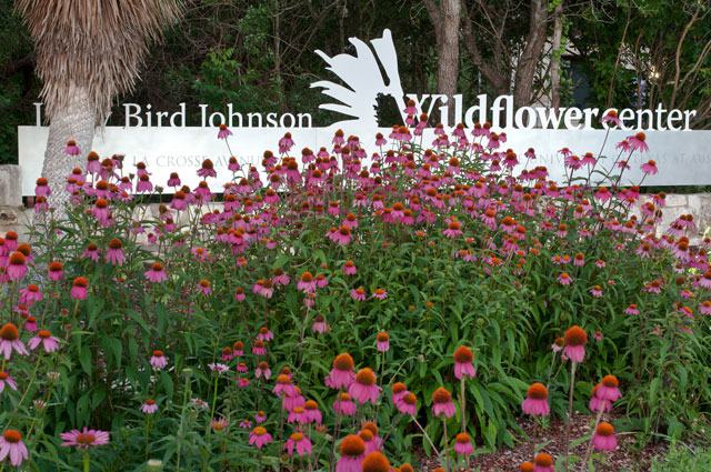 Lady Bird Johnson Wildflower Center