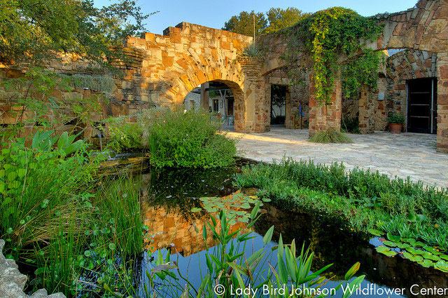 Lady Bird Johnson Wildflower Center