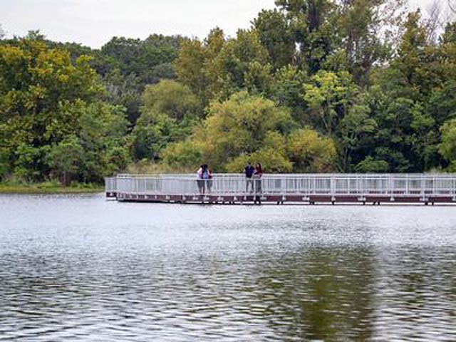 Leander