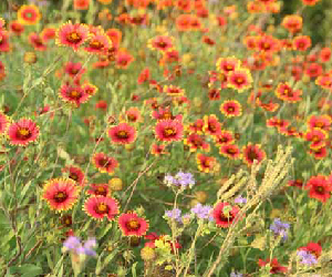 texas hill country tour trail