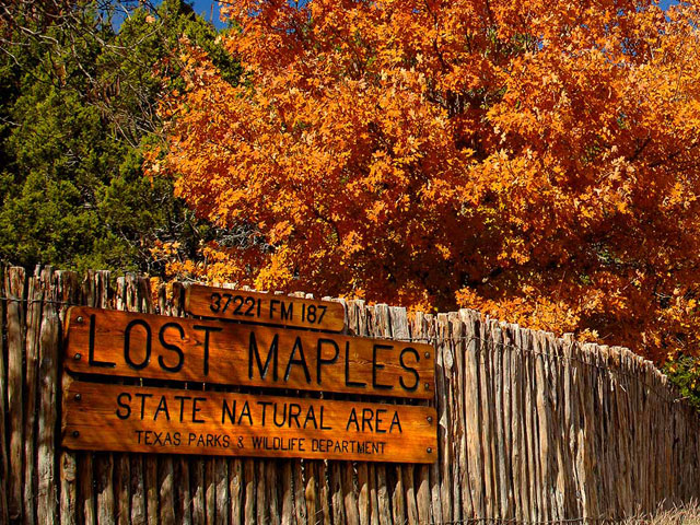 Texas State Parks near San Antonio
