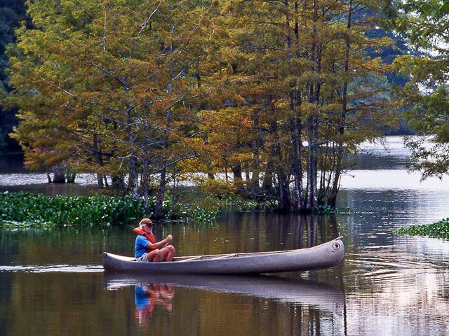Texas State Parks near Tyler
