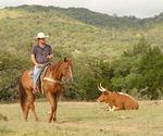 Dixie Dude Ranch