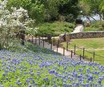 San Antonio Botanical Garden