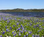 Burnet County, Texas