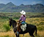 Texas State Parks near El Paso & Big Bend