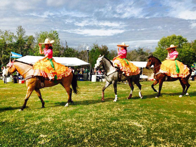 Brazos Valley Worldfest