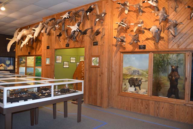 Brazosport Center for the Arts & Sciences
