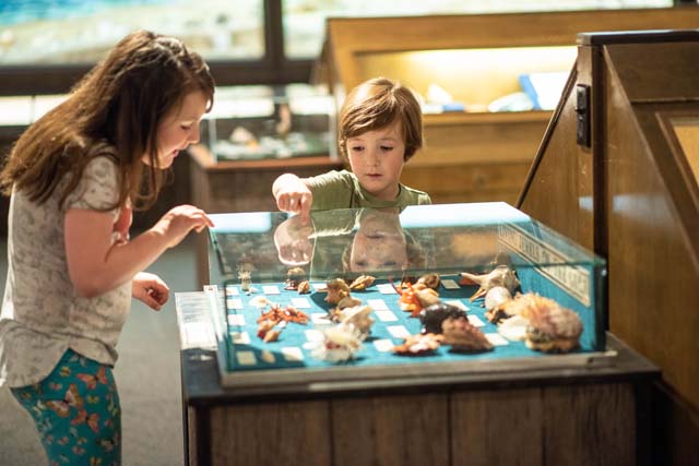 Brazosport Center for the Arts & Sciences