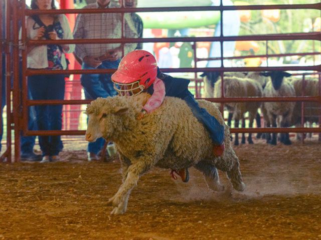 Walker County Fair & Rodeo in Huntsville - APRIL