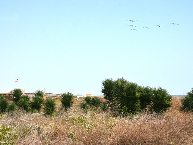 Village of Surfside Beach