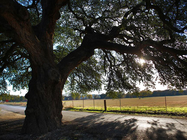 San Saba, Texas
