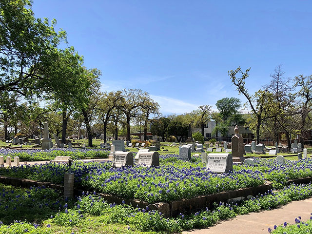 Austin Parks & Recreation