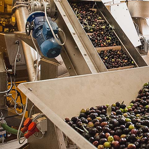 Texas Hill Country Olive Co.