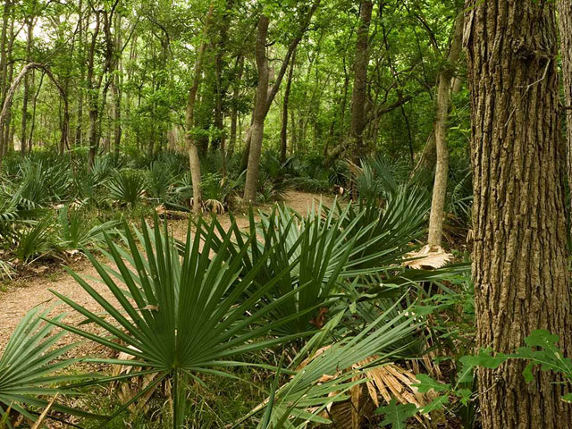 Texas State Parks near San Antonio