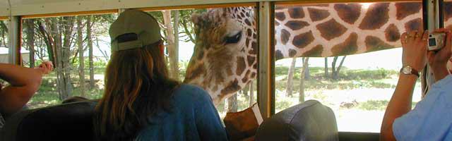 Fossil Rim Wildlife Center