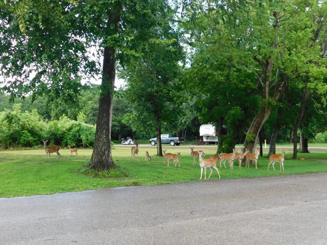 Riverside Park