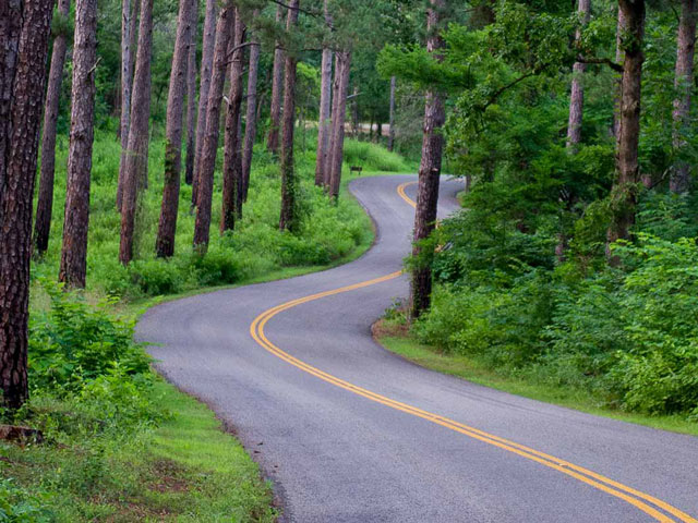 Texas State Parks near Tyler