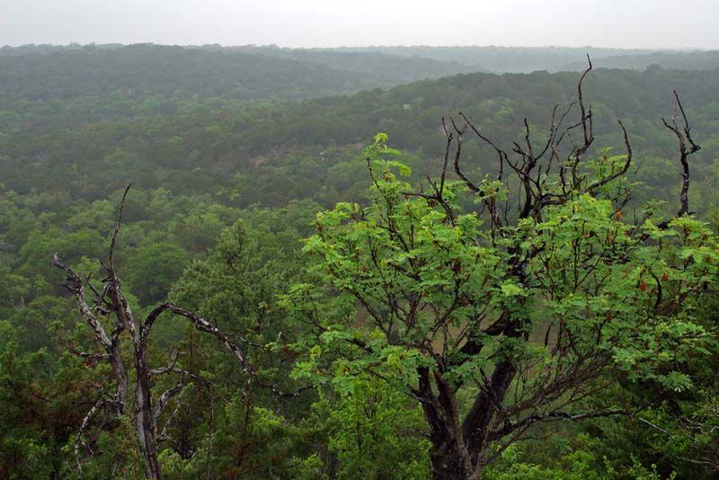 Junction, Texas