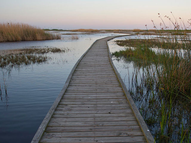 Texas State Parks near Houston