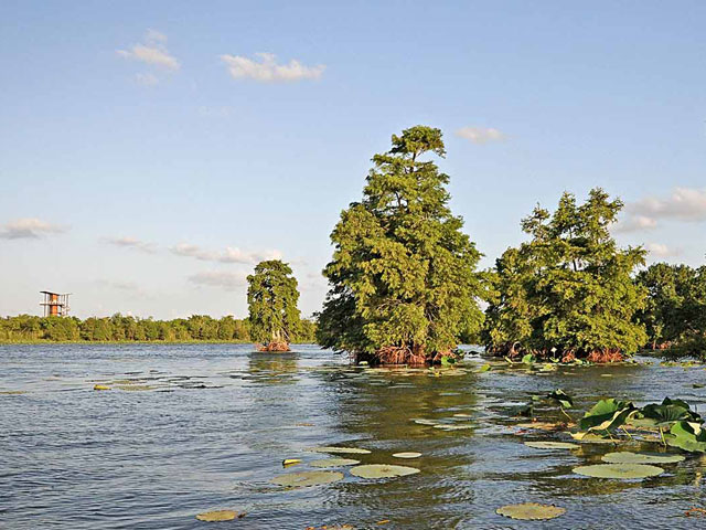 Texas State Parks near Houston