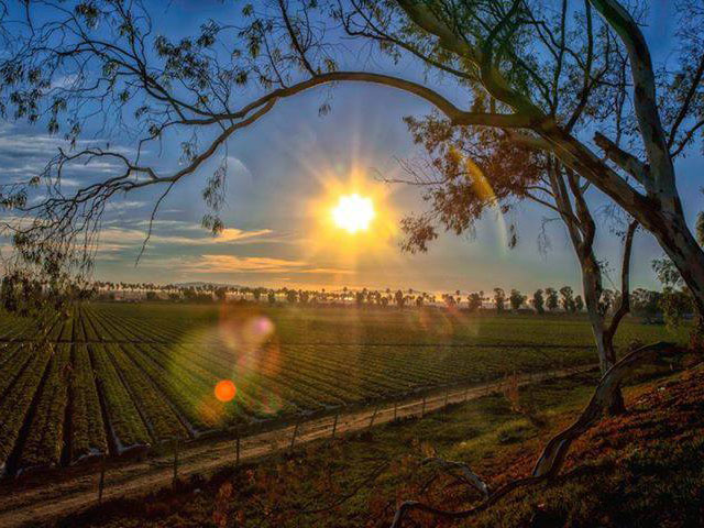 Mount Pleasant/Titus County, Texas