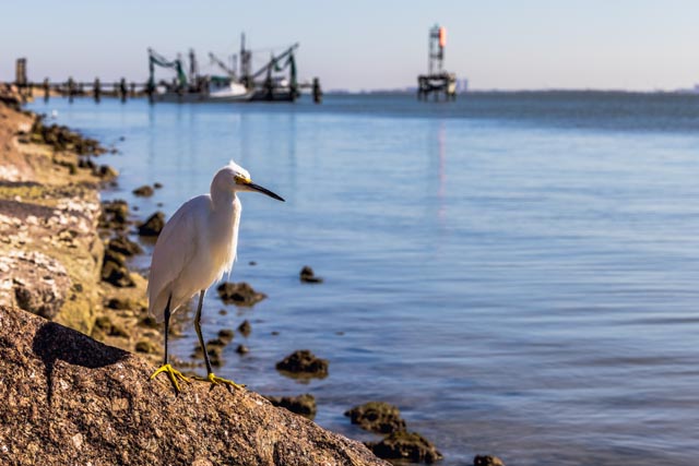 Texas City, Texas