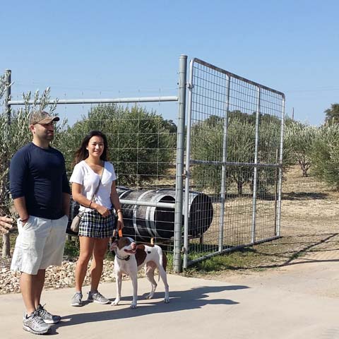 Texas Hill Country Olive Co.