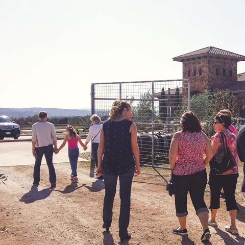 Texas Hill Country Olive Co.