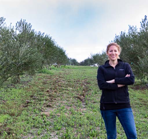 Texas Hill Country Olive Co.