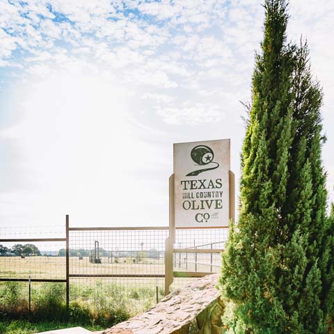 Texas Hill Country Olive Co.