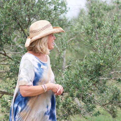 Texas Hill Country Olive Co.
