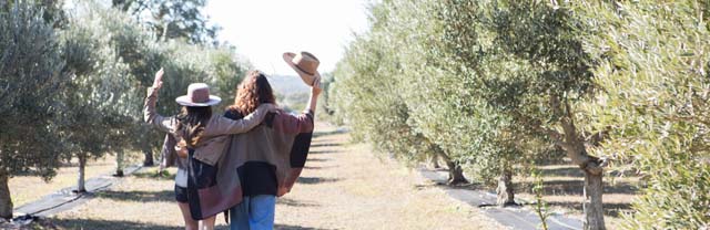 Texas Hill Country Olive Co.