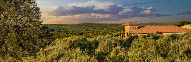 Texas Hill Country Olive Co.
