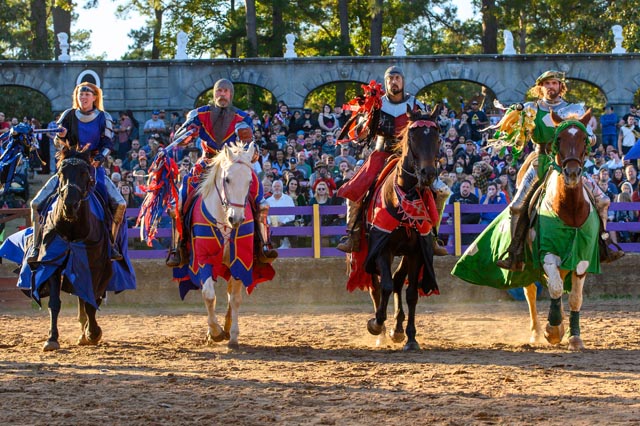Texas Renaissance Festival