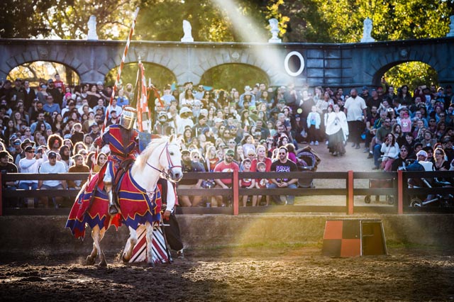 Texas Renaissance Festival
