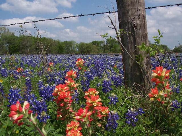 Canyon Lake Chamber of Commerce