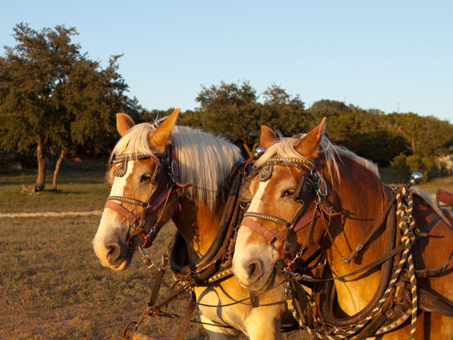 Rancho Cortez