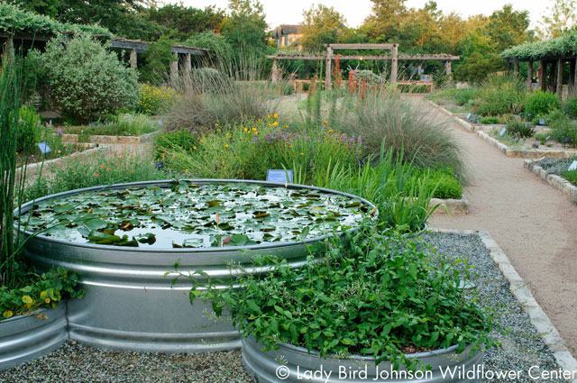 Lady Bird Johnson Wildflower Center in Austin Grounds