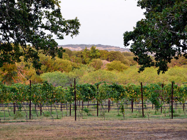 Destination Dripping Springs
