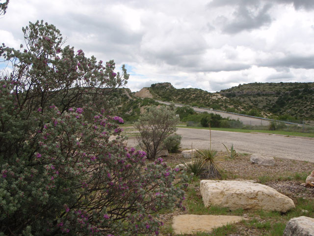 Ozona Chamber