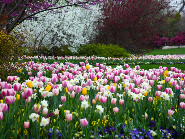 Dallas Arboretum and Botanical Garden