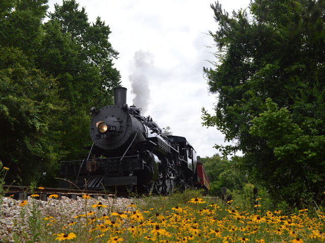 Texas State Railroad