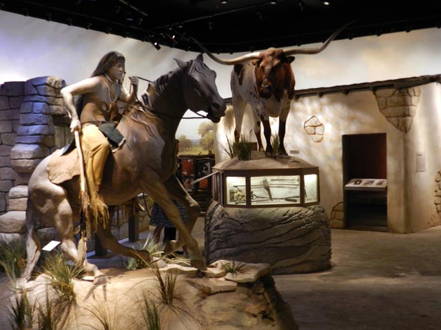 Witte Museum