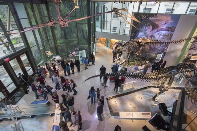 Witte Museum