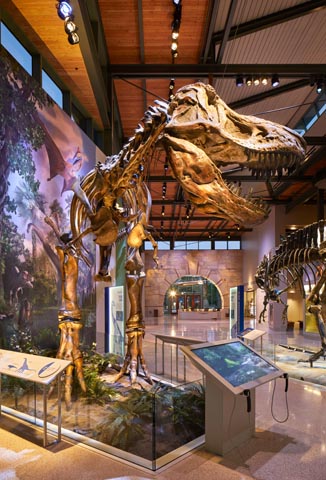 Witte Museum